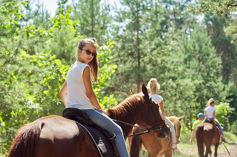 Passeggiate a Cavallo