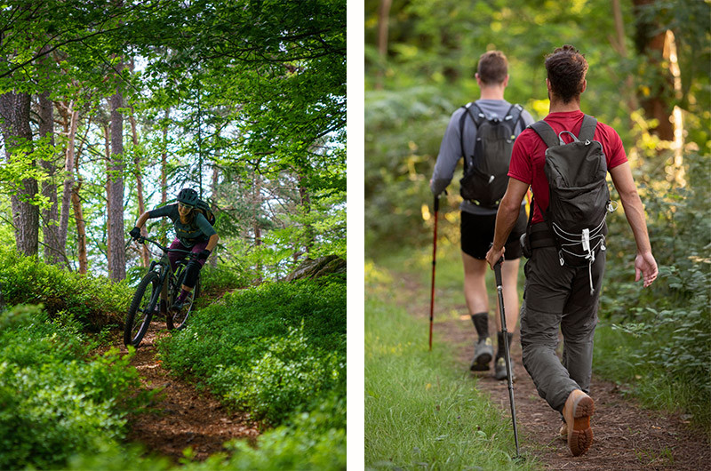 Escursioni in MTB e trekking nel bosco